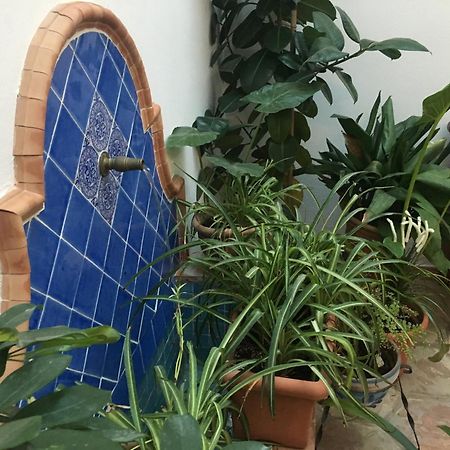 La Casa Del Rio Apartment Cordoba Ngoại thất bức ảnh